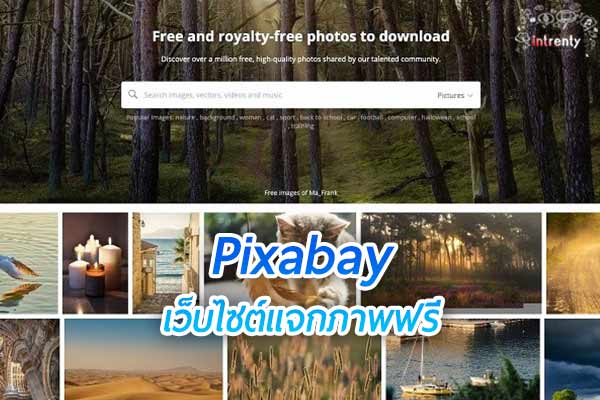 pixabay เว็บไซต์แจกภาพฟรีที่มีให้เลือกกว่าล้านภาพ